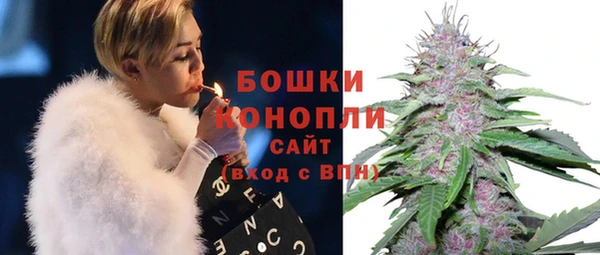 дживик Лагань