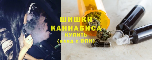 дживик Лагань