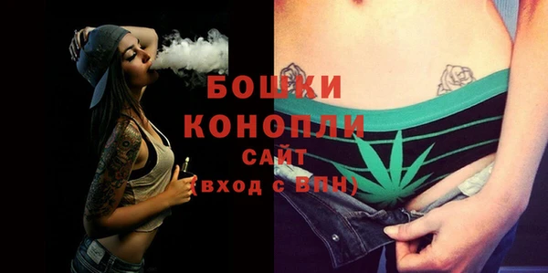 дживик Лагань