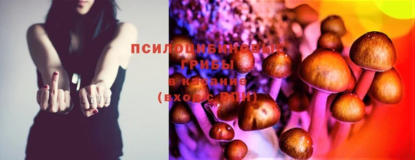 дживик Лагань