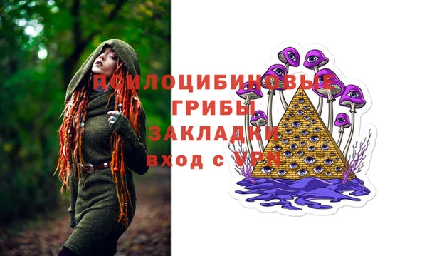 герыч Ладушкин