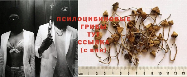 герыч Ладушкин