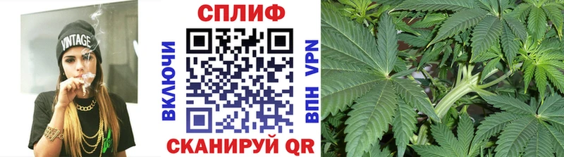 Канабис планчик  Купить где  Шумиха 